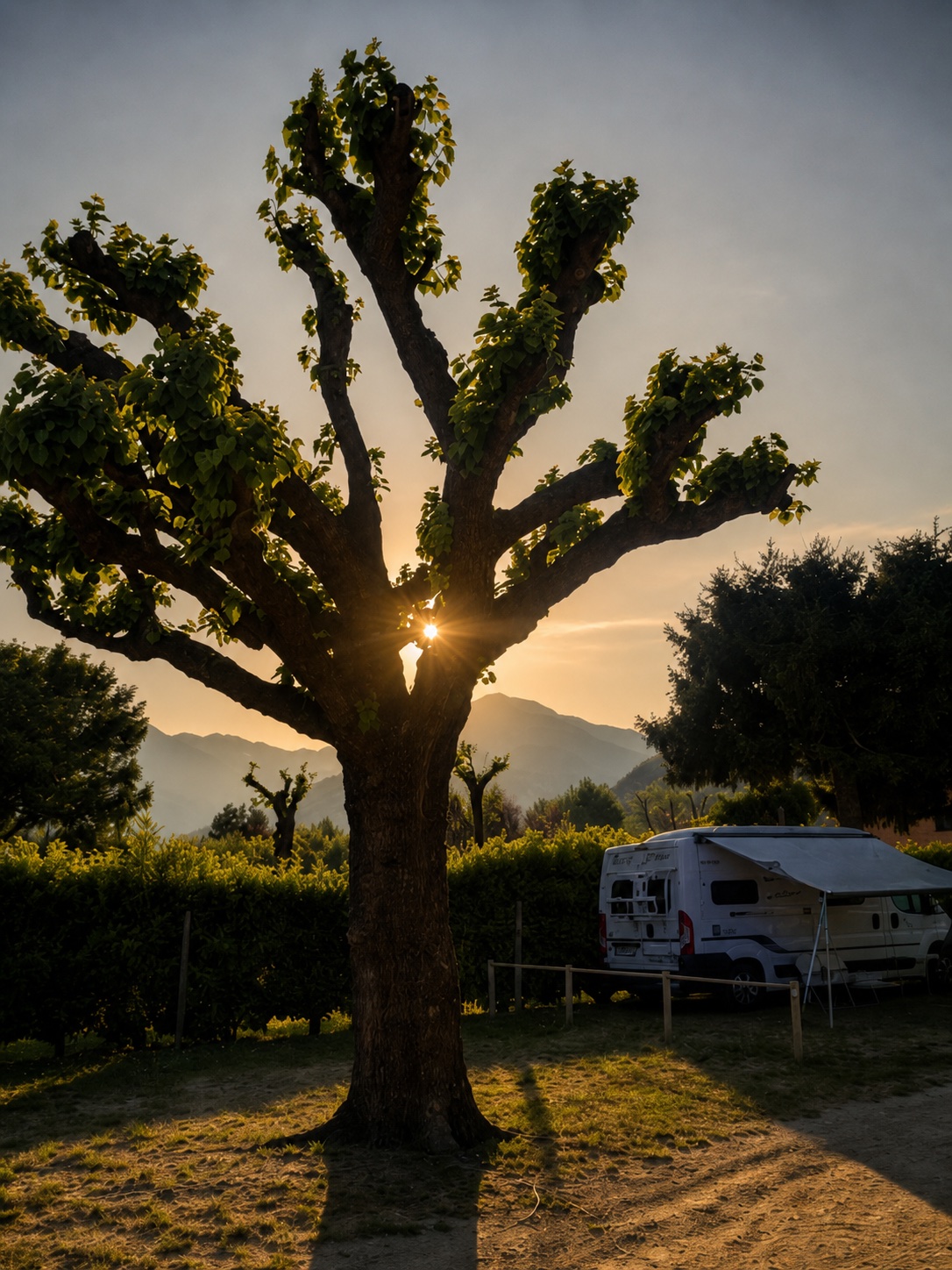 Camper Hymer Free 600 im Allgäu mieten – Fridolin